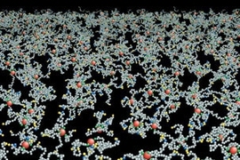 Simulation of the cytoskeleton attached to the inside of the cell membrane of a human red blood cell.  When the cell is subjected to shear stress, the bonds between actin molecules (large red beads) and spectrin molecules (small gray, green, yellow and blue beads) can break, allowing the cell to become more fluid-like.