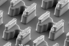 These cups on a microchip trap cells so they can be paired up and fused together.