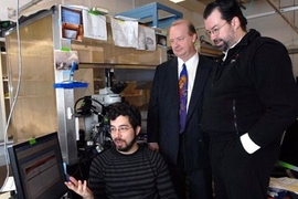 Ed Boyden, seated, Rutledge Ellis-Behnke, middle, and Joost Bonsen,  met in Boyden's lab to discuss the class they teach together on neurotechnology as a discipline.