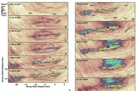 Sequence of images showing initiation of a massive fish shoal.