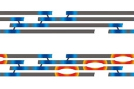 The image at top depicts a healthy collagen fibril. The image below it depicts a fibril with brittle bone disease displaying the small rifts (in orange) that form in collagen tissue at the sites where an incorrect amino acid has been substituted for glycine. These tiny rifts lead to the brittle tissue, broken bones and deformity characteristic of the disease.