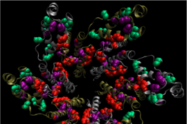 Ragon Institute researchers identified potential HIV vaccine targets in a subunit of the Gag protein. Six of those subunits come together to form the hexagonal proteins that make up the viral capsid.