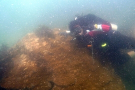 MIT researchers who have sampled the Indian Ocean's water and corals have found high concentrations in lead deposited from Asia and Africa's industrial processes. 