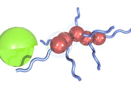 These nanoparticles created by MIT engineers can act as synthetic biomarkers for disease. The particles (brown) are coated with peptides (blue) that are cleaved by enzymes (green) found at the disease site. The peptides then accumulate in the urine, where they can be detected using mass spectrometry.