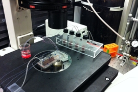 This picture shows a microfluidic device for continuous sorting of white blood cells for detection of inflammatory conditions.