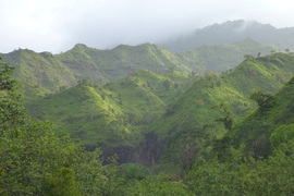 This image was taken in the Hanalei River basin on the north side of the Hawaiian island of Kauai.