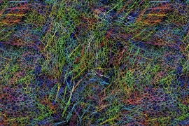 A snapshot from a molecular dynamics simulation shows the geometric order and disorder characteristics of eumelanin aggregate structures. The different variations of the eumelanin molecules are shown in different colors for clarity.
