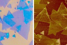 The MIT researchers deposited triangular layers of molybdenum disulfide on a silicon substrate. At left, regions highlighted in blue indicate where the layers overlap.