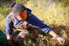 Theresa Oehmke studies the ecosystem of a bog during an ecology class run by Harold Hemond, the William E. Leonhard Professor of Engineering