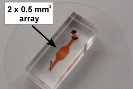 The MIT team's new microfluidic device.