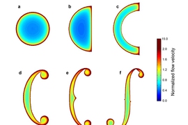 Researchers found most of the sound produced from the violin and its ancestors flows through a sound hole's perimeter, not its interior.