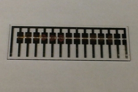 This MIT device, based on modified carbon nanotubes, can detect amines produced by decaying meat.