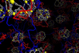 MIT chemists have created a new type of gel by linking metal organic cages with long polymer strands (blue). The red polymer strands, which loop back to the cages, can be used to further customize the gels by adding other molecules.