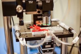 A new high-speed microscope produces images of chemical processes taking place at the nanoscale, at a rate that is close to real-time video. This closeup shot of the microscope shows transparent tubes used to inject various liquids into the imaging environment. This liquid can be water, acid, buffer solution for live bacteria, cells, or electrolytes in an electrochemical process. Researchers use o...