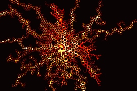 Lab experiments carried out by an MIT and Oxford University team provide detailed information about how a liquid moves through spaces in a porous material, revealing the key role of a characteristic called wettability.
