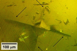 Using specialized equipment, the MIT team did tests in which they used a pyramidal-tipped probe to indent the surface of a piece of the sulfide-based material. Surrounding the resulting indentation (seen at center), cracks were seen forming in the material (indicated by arrows), revealing details of its mechanical properties.
