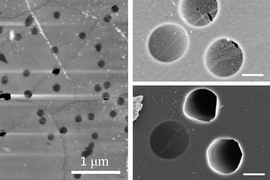 On the left, an atomic-force microscopy image shows a nanoporous graphene membrane after a burst test at 100 bars. The image shows that failed micromembranes (the dark black areas) are aligned with wrinkles in the graphene. On the right, two zoomed-in scanning electron microscopy images of graphene membranes show the before (top) and after of a burst test at pressure difference of 30 bars. The i...