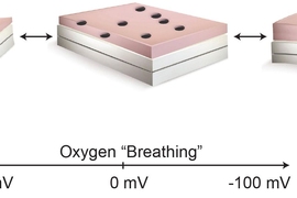 This diagram illustrates how the thin-film material bends from its normal flat state (center) as oxygen is taken up by its structure (right) or released (left). This behavior enables the film’s shape to be controlled remotely by changing its electric charge.
