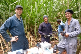 As climate change alters rainfall patterns, it can potentially destroy even forested peatlands that remain undrained. 