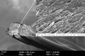 A cross-section SEM image of regenerated silk fibers shows, in the inset, the maintained nanofibril structures. 
