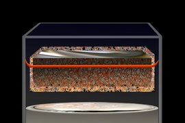 A type of battery first invented nearly five decades ago could catapult to the forefront of energy storage technologies, thanks to a new finding by researchers at MIT.
