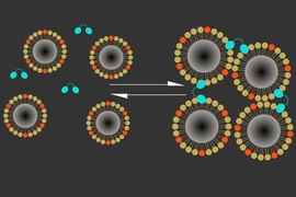 MIT researchers have designed MRI sensors that form clusters in the presence of calcium, allowing them to monitor neuron activity in the living brain.