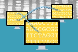 Cleverly dividing information among multiple servers lets an MIT system protects the privacy of contributors to genomic databases in a way that is much more computationally efficient than standard cryptographic techniques.