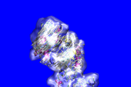 This diagram depicts the configuration of the complex tropoelastin molecule, which forms the basis for the elastin that gives tissues like skin and blood vessels their elasticity. The molecule’s atom-by-atom structure was decoded by a team of researchers from MIT, Australia and the UK.