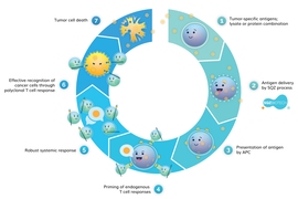 To engineer cell functions, SQZ Biotech uses tiny channels on a microfluidic chip to squeeze cells so they can be penetrated by specific molecules. Pictured, the company's rendering of its cell-squeezing therapeutic process leveraging antigen presenting cells.