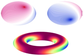 Images showing interference patterns (top) and a Wilson loop (bottom) were produced by the researchers to confirm the presence of non-Abelian gauge fields created in the research.