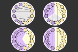 A new study co-authored by MIT scholars examines the impact of political information on voter behavior, under a variety of conditions. The schematic images here represent voter information networks, ranging from those with connections across political parties, upper left, to those with no contact between opposing party members, bottom right.