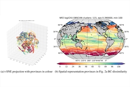 “It’s like making cookies,” Sonnewald says. “You take this horrifically complicated ball of data and roll it out to reveal its elements.” In this figure, clusters identified by SAGE in t-SNE space are shown on the left and are then projected onto the globe. Colors are consistent between figures, but otherwise arbitrary. 