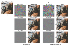 comparison of adversarial images