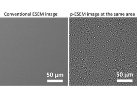 microscope images show the nucleation of water droplets