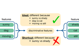 explanatory graphic of system