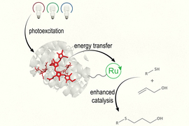 diagram of photocatalytic reaction