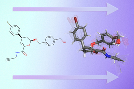 molecular prediction graphic