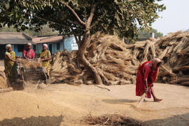 Bankura woman at work