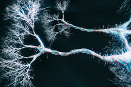 dendrites graphic