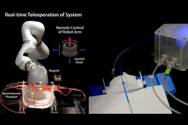 the telerobotic system