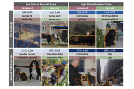 Eight photos of scenes with people, animals, or cars. Part of each photo is outlined in orange, and part of it inside a yellow box. In some images the orange and yellow parts overlap; in others they do not.