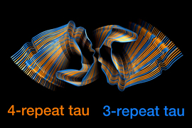 Tau protein tangles