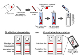 diagram showing how tests work