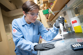 Leaning over the counter in the lab, Farquhar uses a pipette to add blue liquid to a multi-well plate—a plastic device with a grid of compartments for liquid.