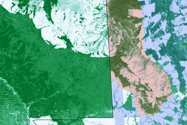 Map shows Bolivia on left, and Brazil. There is significant difference on the border, with Bolivia more forested. Most of the white-and-green areas of Brazil are now protected, as shown with pink and blue overlay.