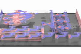 In this rendering, a tray of objects is being printed, including a robotic hand. Red and blue components in each object connote the different materials that are used.