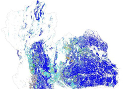 A map of Thailand shows areas of color, with most being dark blue representing rice. Maize is light blue, cassava is green, and sugarcane is orange.