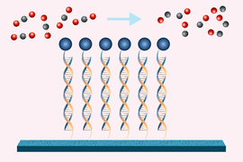 DNA strands attached to the surface of a cathode, a blue bar, with catalysts, depicted as blue circle, attached to the ends. Set of five tri-molecules change from carbon dioxide to carbon monoxide, indicated by change in red and gray circles.