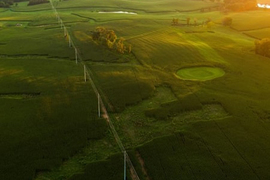 Aerial shot of powerlines and grass field