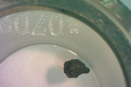 A tiny black fragment of meteor in a petri dish.